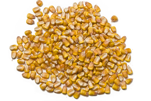 Feed-Ingredient-Production
