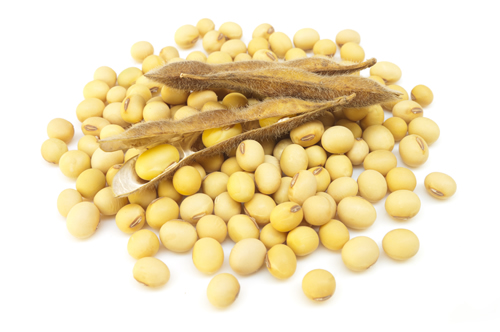 Feed-Ingredient-Production